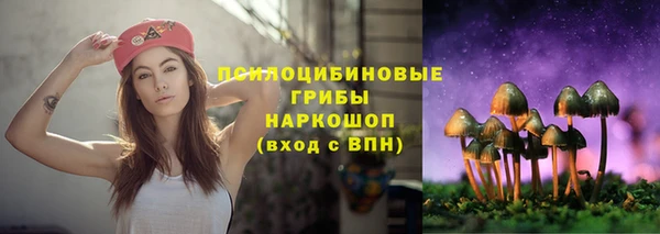 меф Горняк