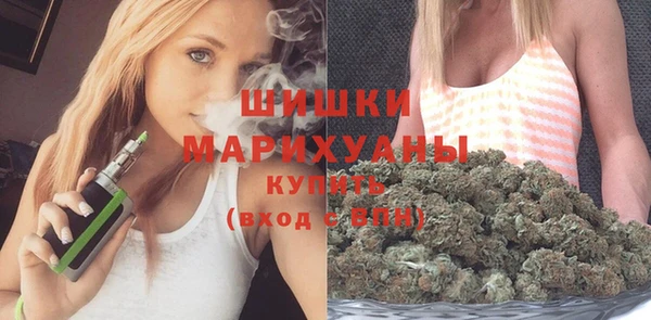 сатива Гусев