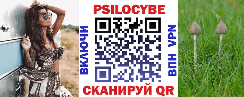 где купить   Ачинск  Псилоцибиновые грибы мухоморы 